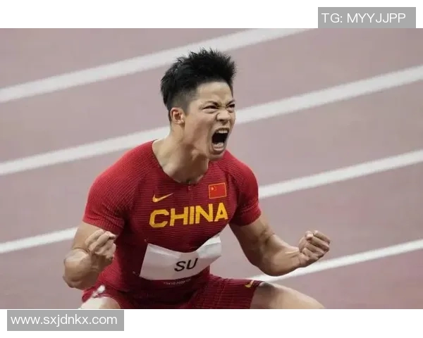 运动员奋斗之路：从梦想起航到巅峰荣耀的艰辛与坚持