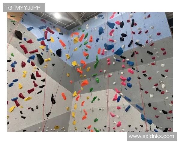 上海攀岩队心理素质排名第一最新攀岩心理素质TOP10揭晓