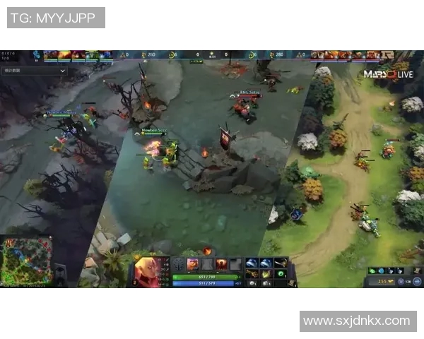 DOTA2战术解析：深入剖析RNG团队包夹策略的成功之道